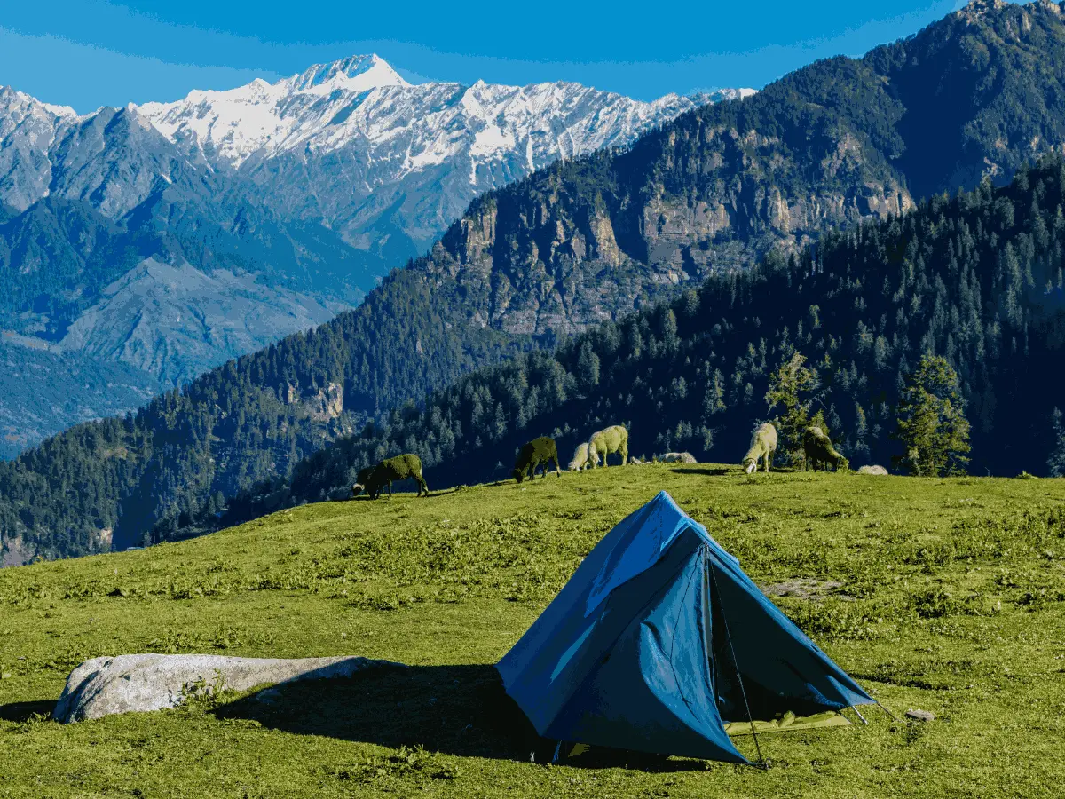 Shoja village near Jibhi Himachal