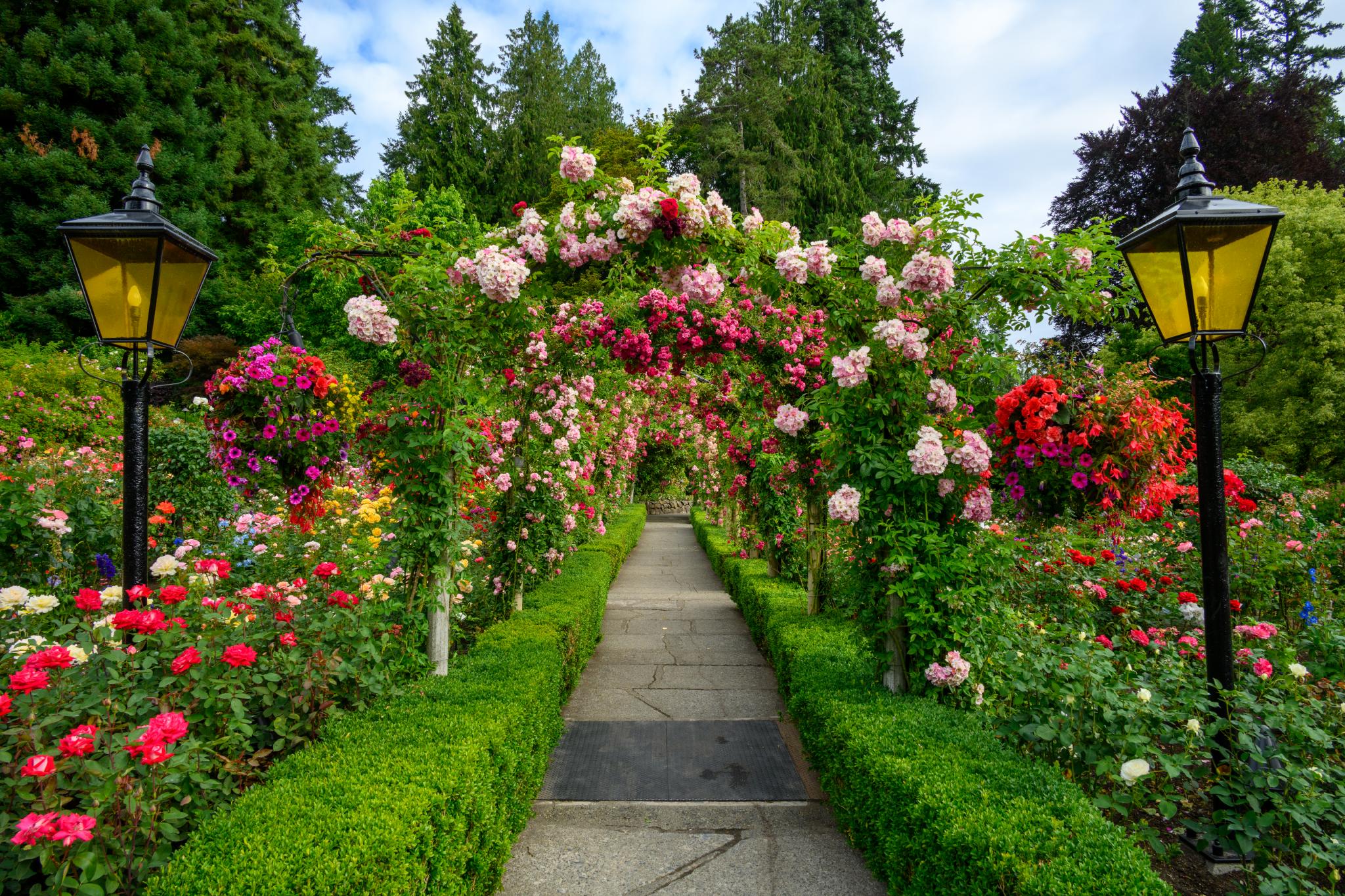 Rose Garden